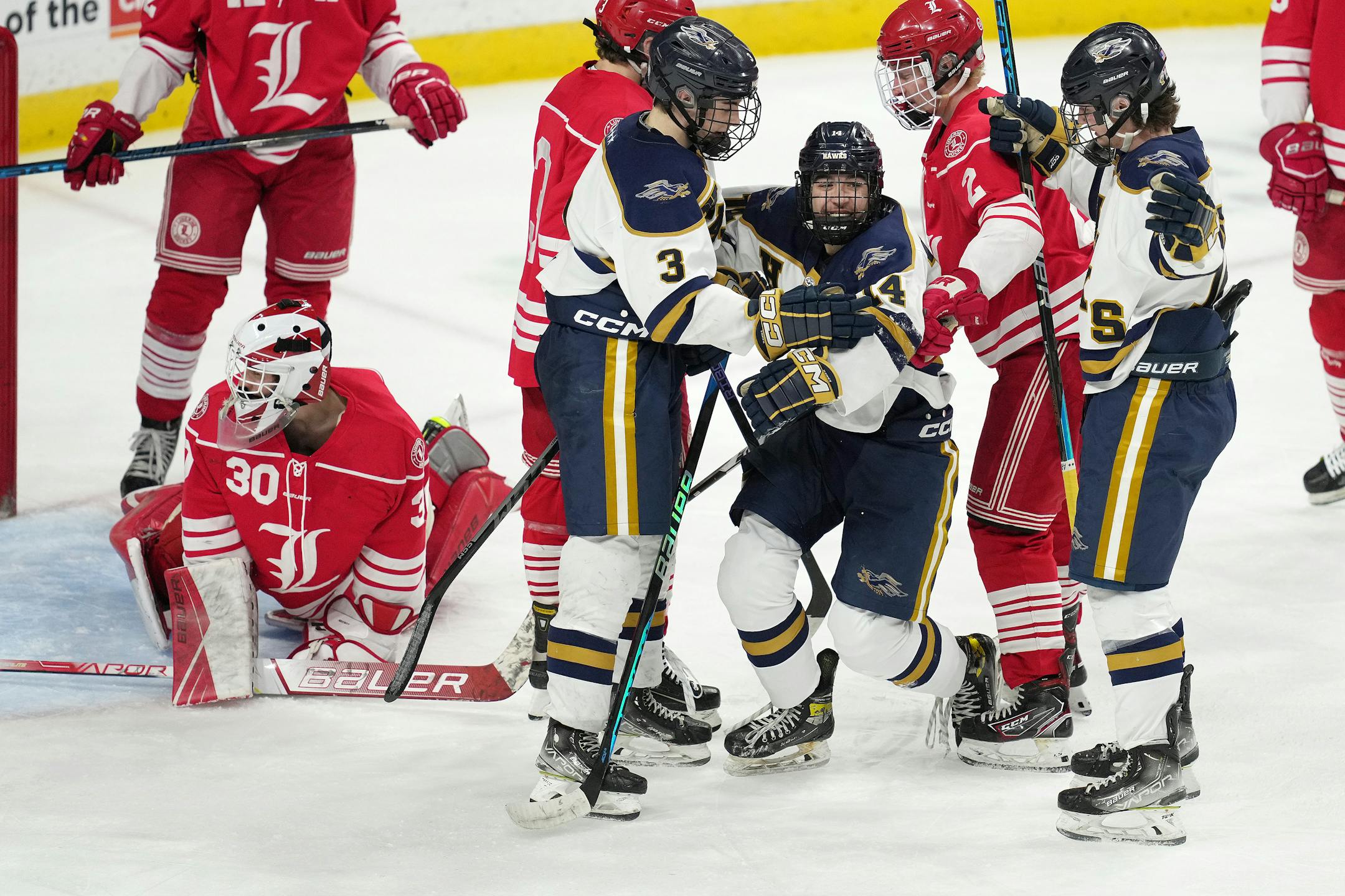 Hermantown forward Aaron Evjen (14) celebrates after scoring on Luverne goaltender Tyler Arends (30) in the first period of a MSHSL Class 1A quarterfinal hockey game between Luverne and Hermantown.