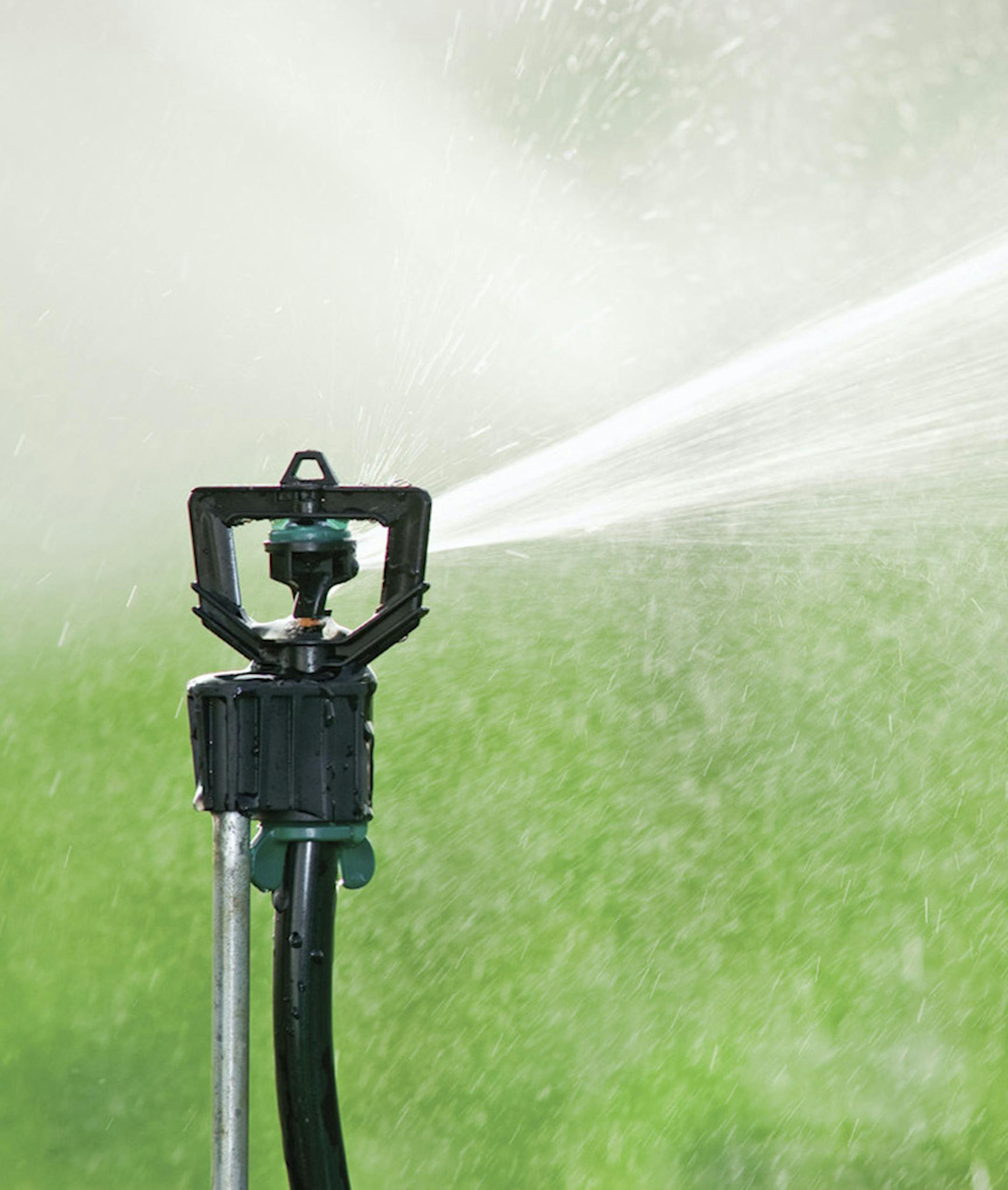 SH12H093GARDENER Aug. 13, 2012 -- Watering less, mowing less, and fertilizing less not only conserves resources and time, it's also a lot less stressful on lawns suffering in drought conditions. (SHNS photo courtesy John Deere) ORG XMIT: MIN2012100413180242