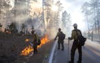 Firefighters use back burning to control the spread of a fire in Custer State Park in South Dakota on Tuesday, Dec. 12, 2017. High wind gusts are maki