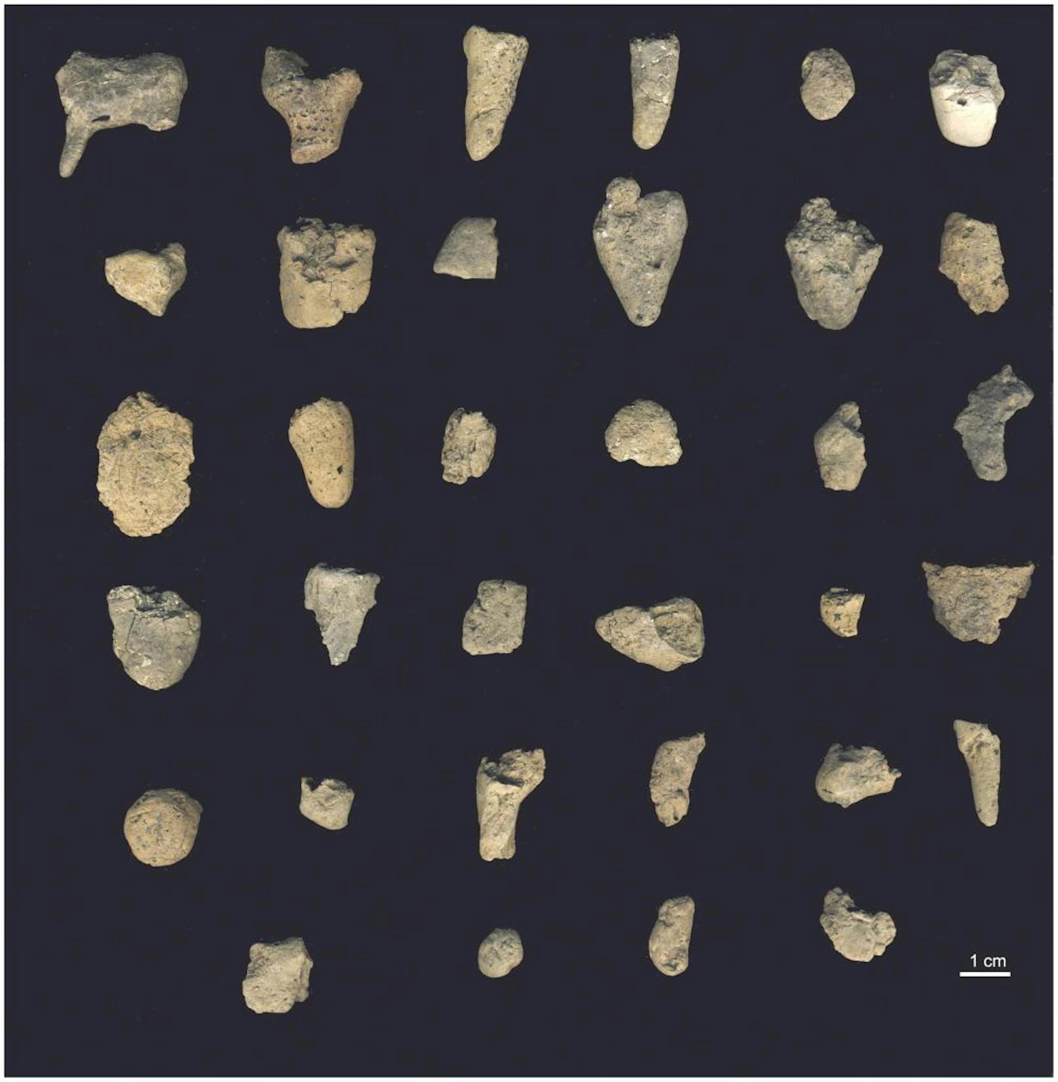 In an undated handout photo, the assemblage of 36 ceramics artifacts found in a cave in Croatia.The pieces, which are between 17,500 and 15,000 years old, make up the second largest collection found so far of the earliest human experiments with ceramic art. (Farbstein, Radic, Brajkovic, Miracle via The New York Times) -- NO SALES; FOR EDITORIAL USE ONLY WITH STORY SLUGGED SCI ANCIENT CERAMICS BY ALANNA MITCHELL. ALL OTHER USE PROHIBITED. --