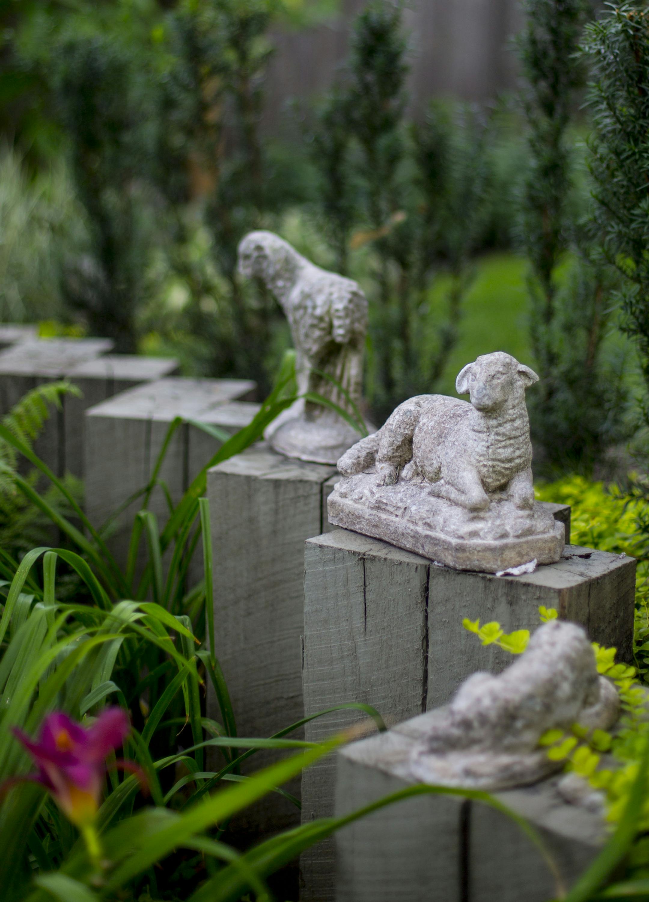 Three lamb statues, including one headless one, sits on wooden posts in the backyard.