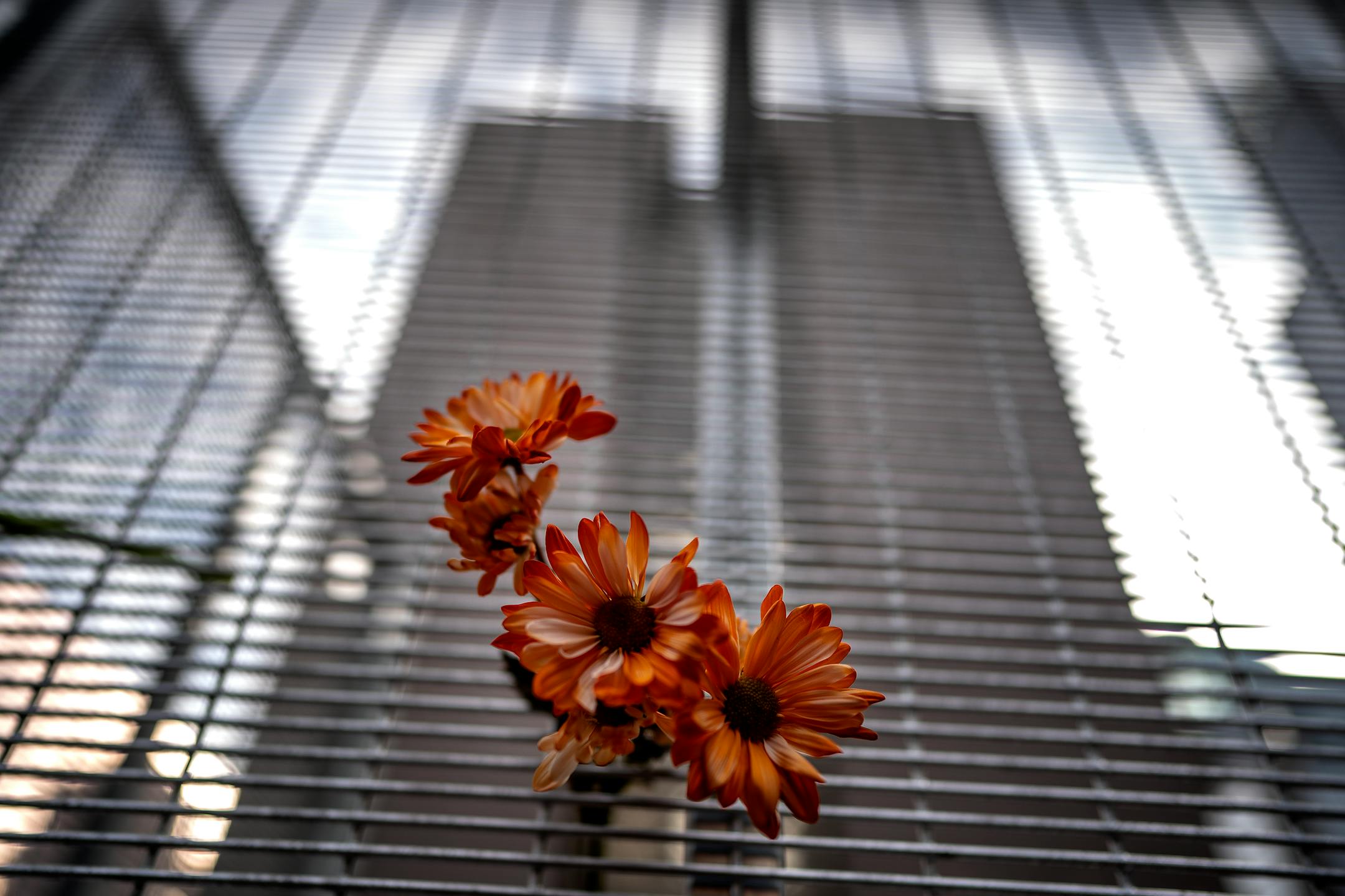 Flowers were place on the fence in front of the Hennepin County Government Center one day before jury selection is set to begin in the trial of former Minneapolis officer Derek Chauvin.
