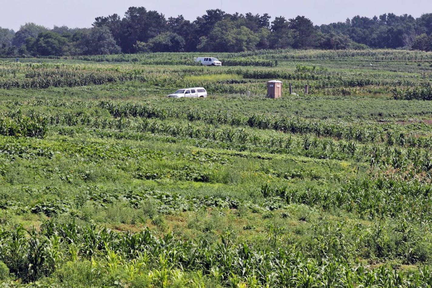 A proposed ordinance would affect 40 Hmong farmers renting 100 acres of land to grow their crops in May Township north of Stillwater.