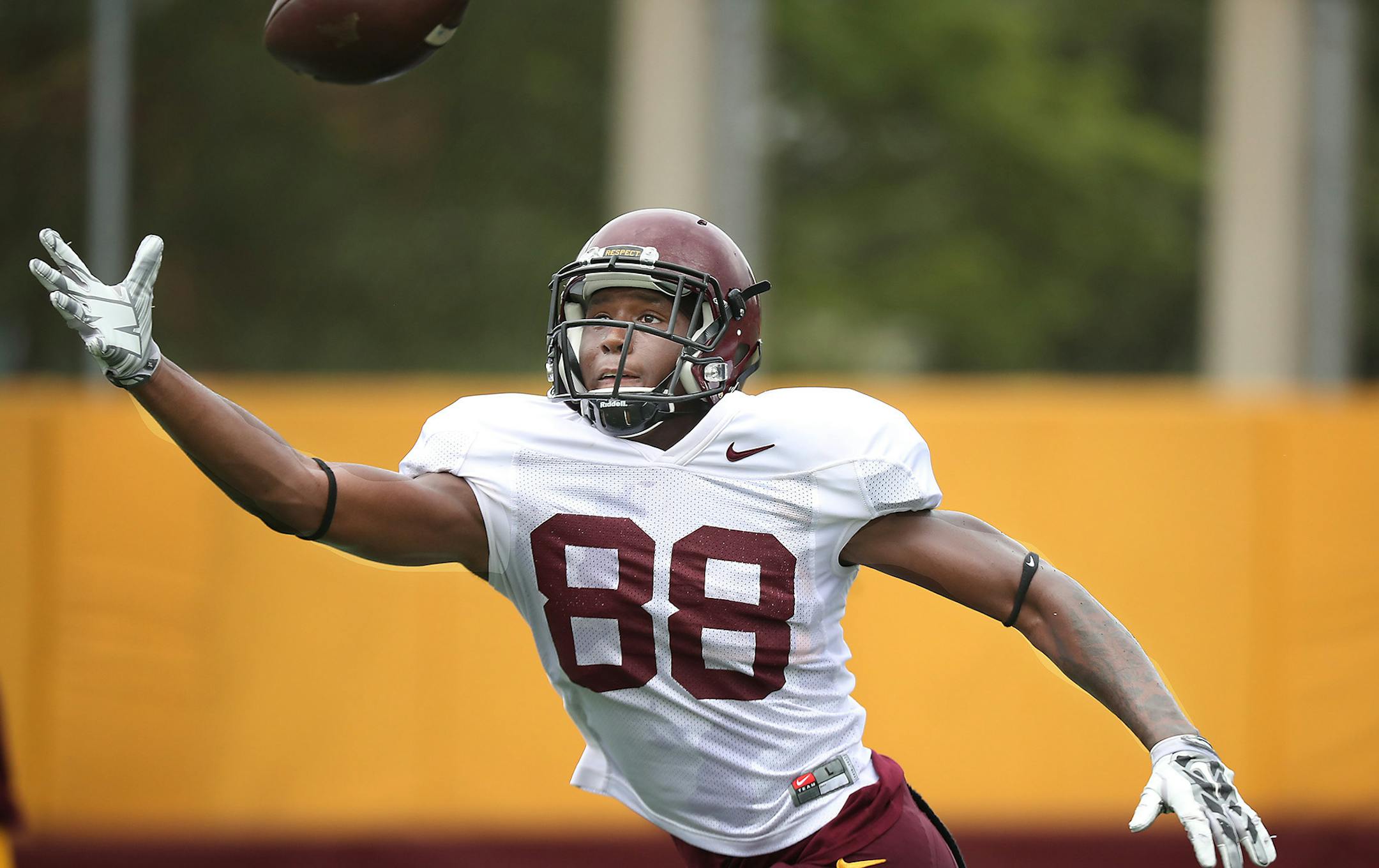 Minnesota Gophers wide receiver Rashad Still