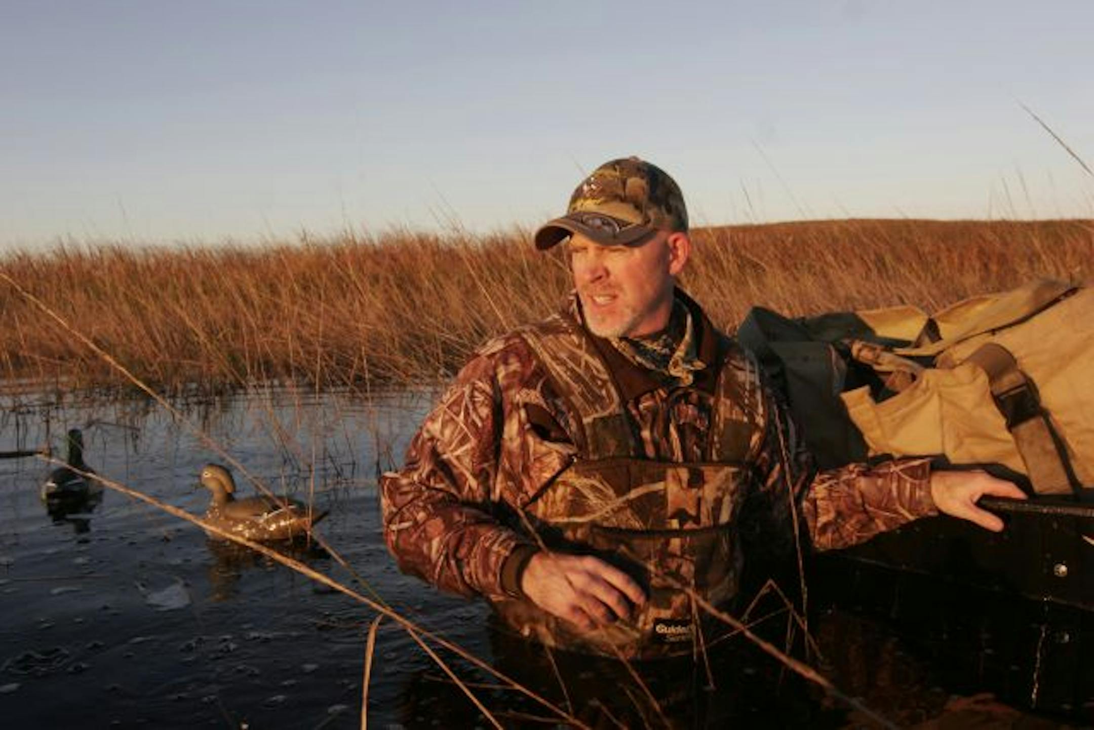 Brad Nylin, executive director of the Minnesota Waterfowl Association. put out decoys in a slough Saturday morning near Sauk Centre for the duck opener.