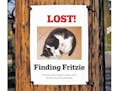Losing Fritzie the cat "was a missing piece in the puzzle of our lives" for Frank Bures and his family.