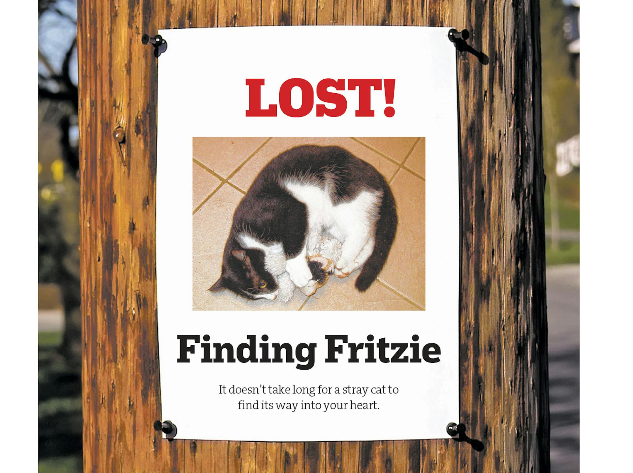 Losing Fritzie the cat "was a missing piece in the puzzle of our lives" for Frank Bures and his family.