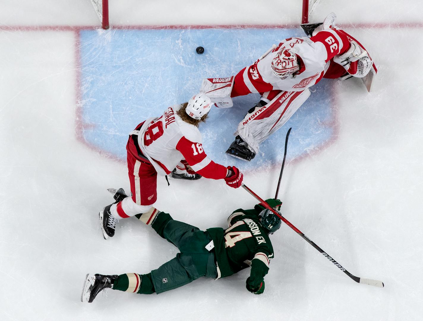 Joel Eriksson Ek (14) of the Minnesota Wild gets the puck past Detroit Red Wings goalie Alex Nedeljkovic (39) for a goal in the third period Monday, Feb. 14, at Xcel Energy Center in St. Paul, Minn. ] CARLOS GONZALEZ • cgonzalez@startribune.com