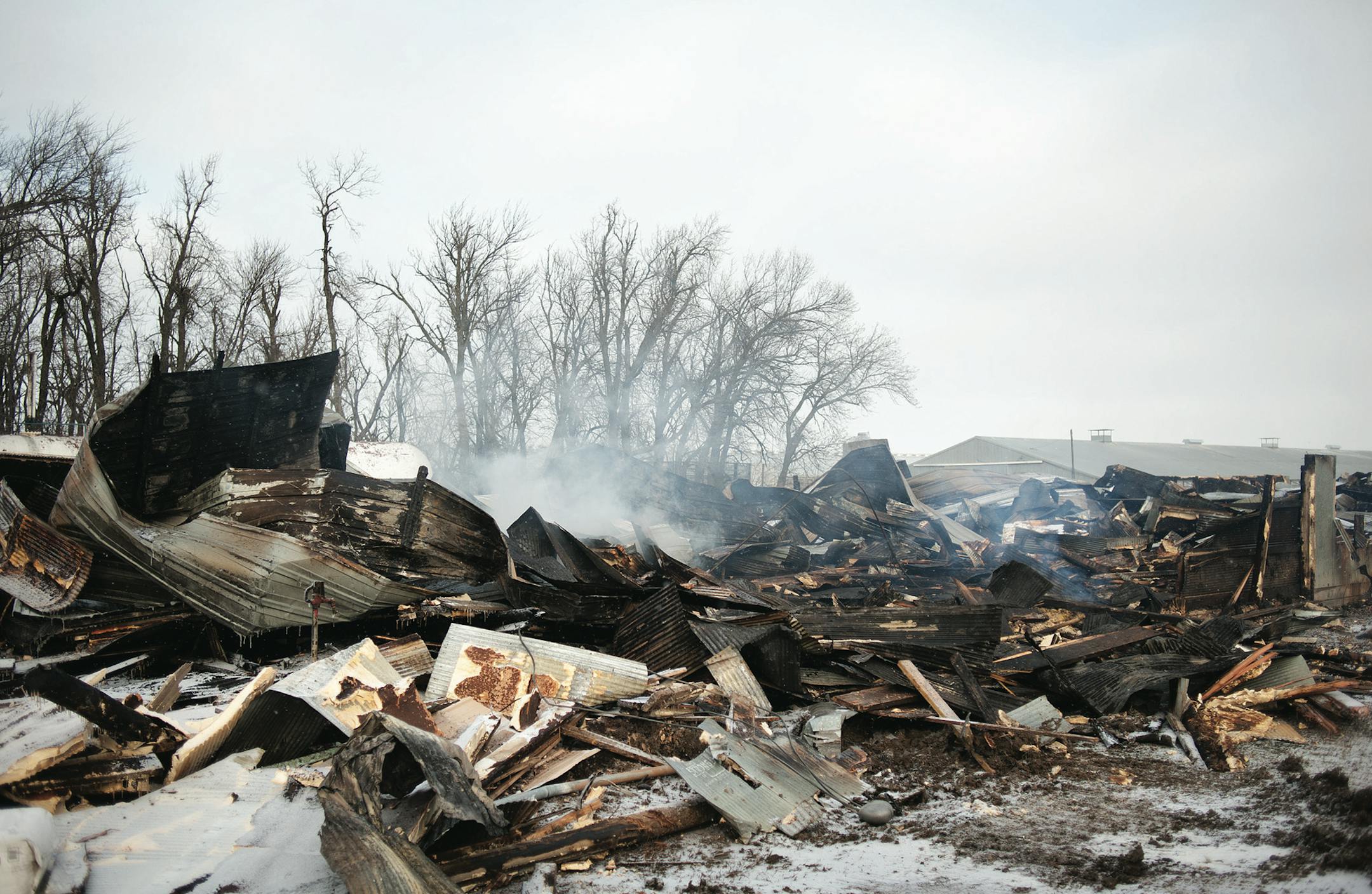 Credit Jesse Trelstad/Daily Globe. We ran the photo without a cutline. About 7,500 three-week-old turkeys were lost in a turkey farm fire near Worthington early Tuesday morning. The nearby Round Lake Fire Department was dispatched at 12:45 a.m. Tuesday to a farm owned by Tim Meyer and Jeff Barber to the fire that&#x201a;&#xc4;&#xf4;s believed to have been triggered by an electrical problem. Round Lake fire chief Mike Smith said one of the farm&#x201a;&#xc4;&#xf4;s barns was fully engulfed and fl
