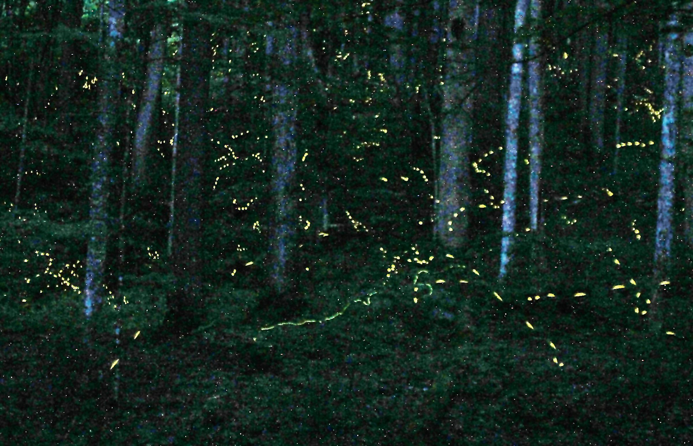 https://arc.stimg.co/startribunemedia/K45GVYYSANAFLNIPFNRFUTH2AY.JPG?&w=1200&ar=1.91:1&fit=crop