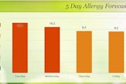 5 Day Allergy Forecast For Minneapolis