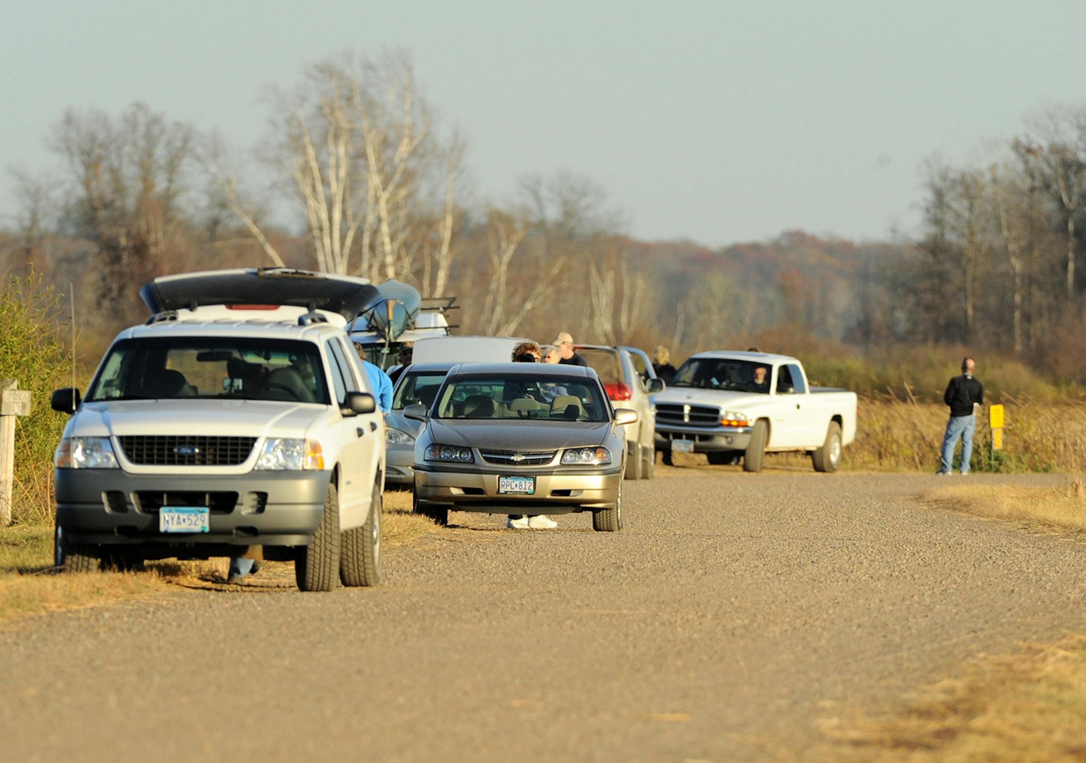 credit: Jim Williams Special to the Star Tribune
All of these birders came to the same site via one electronic message or another.