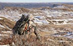 Peering through binoculars, Trevor Anderson joined his dad, Dennis, to hike into the vast badlands regioin of eastern Montana seeking mule deer.
