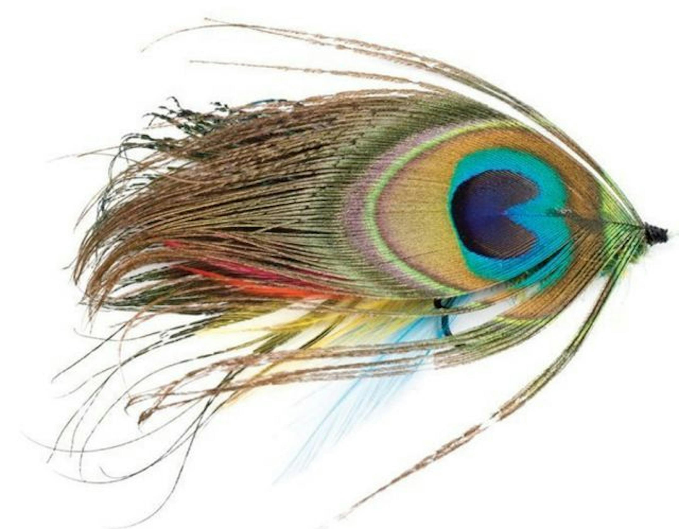 Fishing fly from "Fishing Flies: A World Encyclopedia of Every Type of Fly," by Malcoml Greenhalgh and Jason Smalley