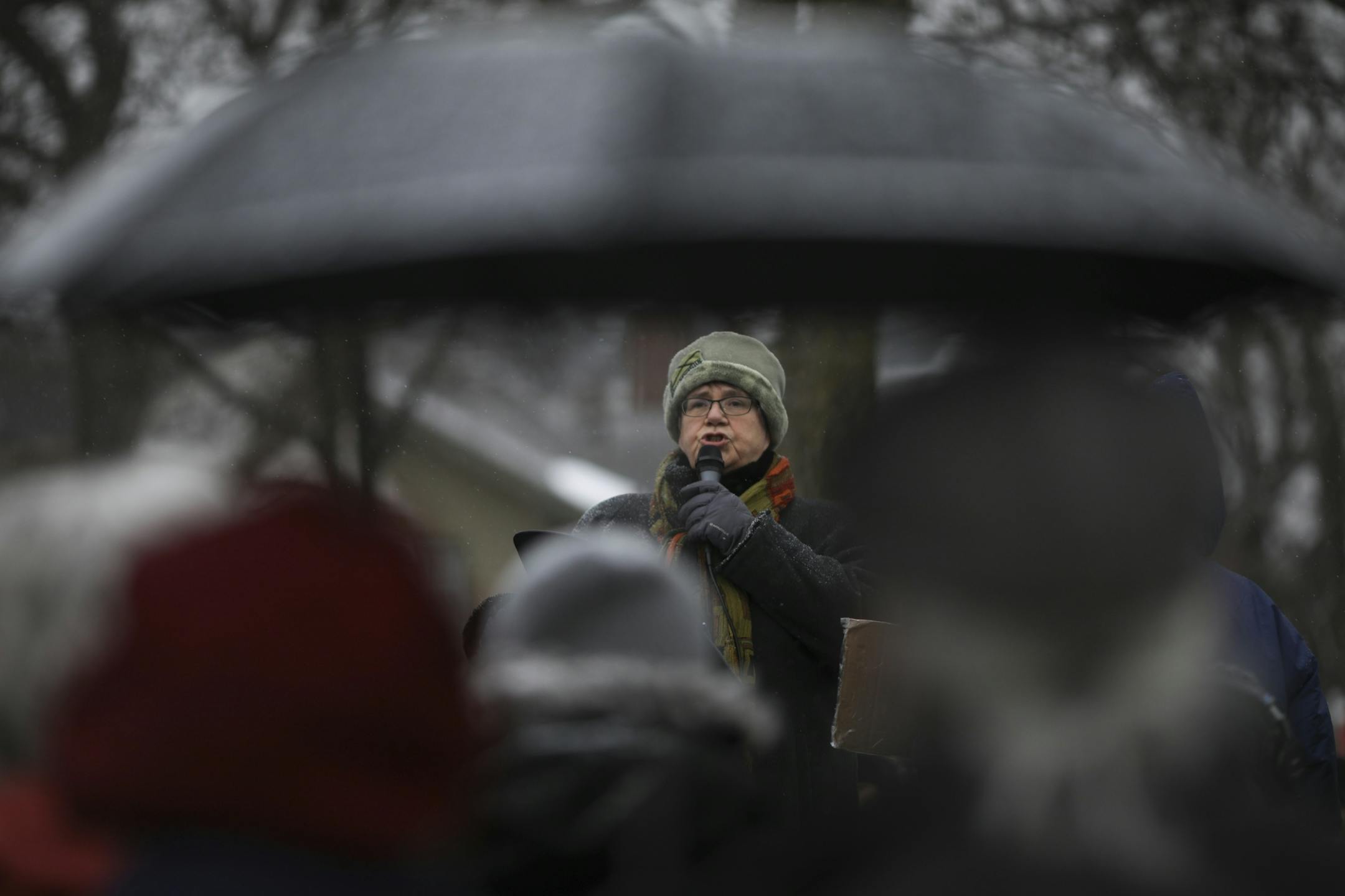 Fulton resident Katherine Hamberg was the first speaker to address the gathering.