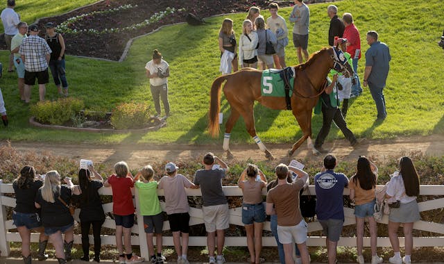 Jay Lietzau's Canterbury Park line for Sunday, May 28