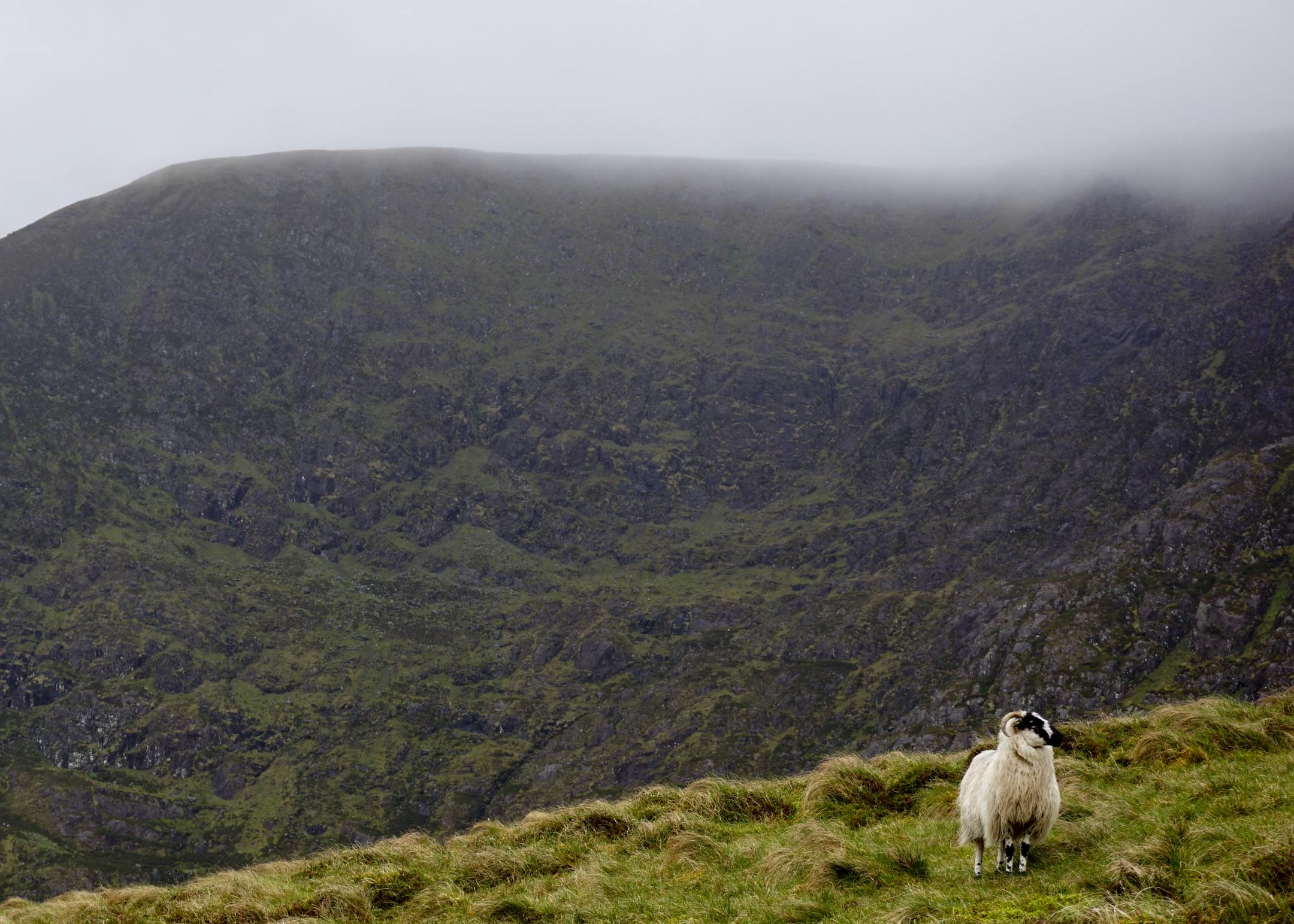 Our last day of hiking — over a shoulder of Mount Brandon — saw clouds and rain. Every other day was sunny and warm.