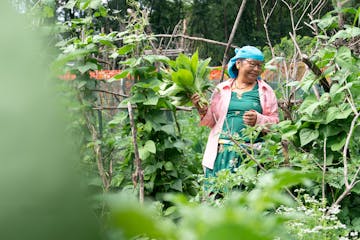 Ti Tamng, 62, tends to her garden Thursday July 7, 2022 at Rice Street Gardens in Maplewood.