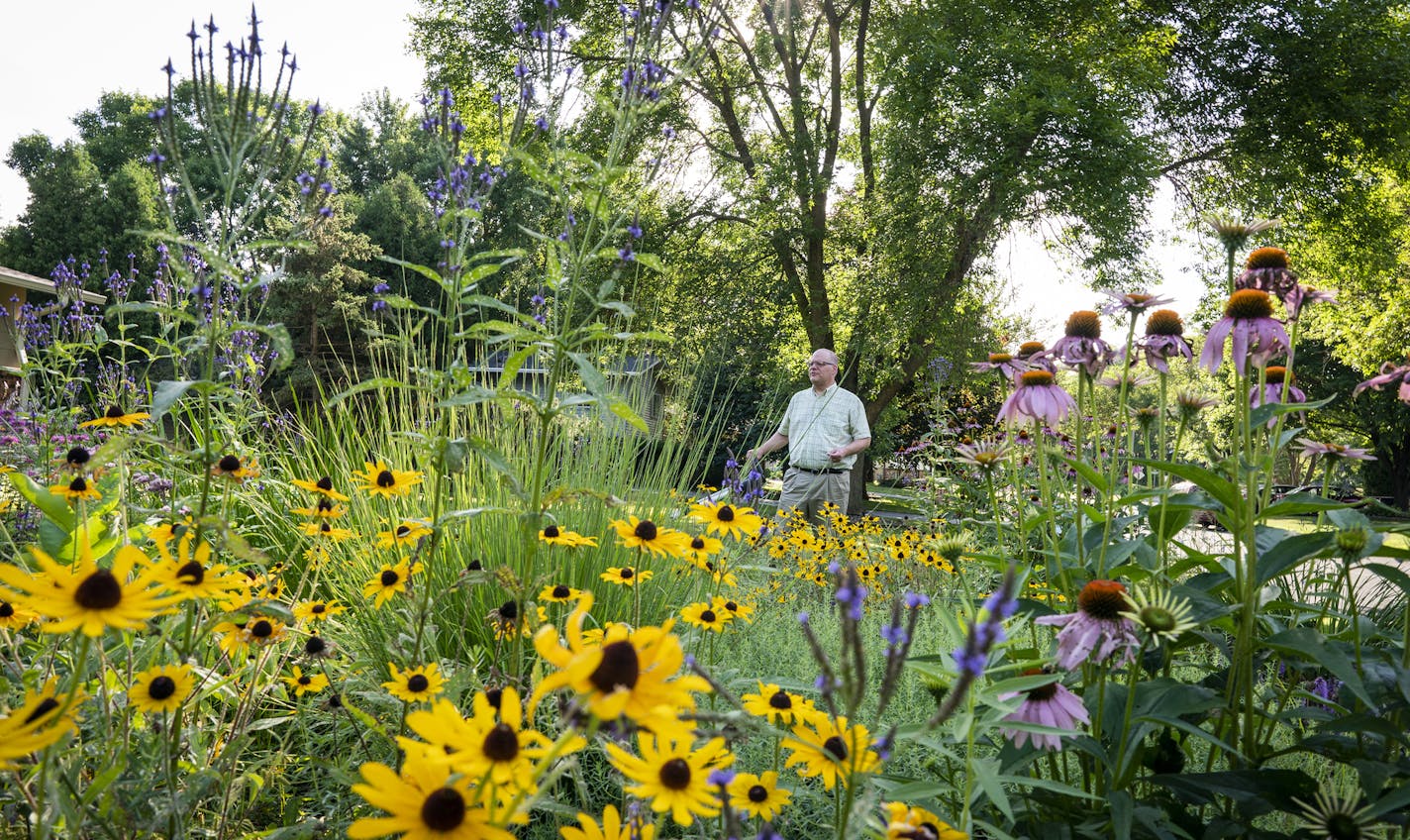 Paul Gardner stands near his native rain garden. ] LEILA NAVIDI &#x2022; leila.navidi@startribune.com BACKGROUND INFORMATION: Shoreview resident Paul Gardner's family uses just 60 gallons of water a day compared to 300 for the average family of four. Gardner shows off some of his water saving methods in his home in Shoreview on Thursday, August 1, 2019.