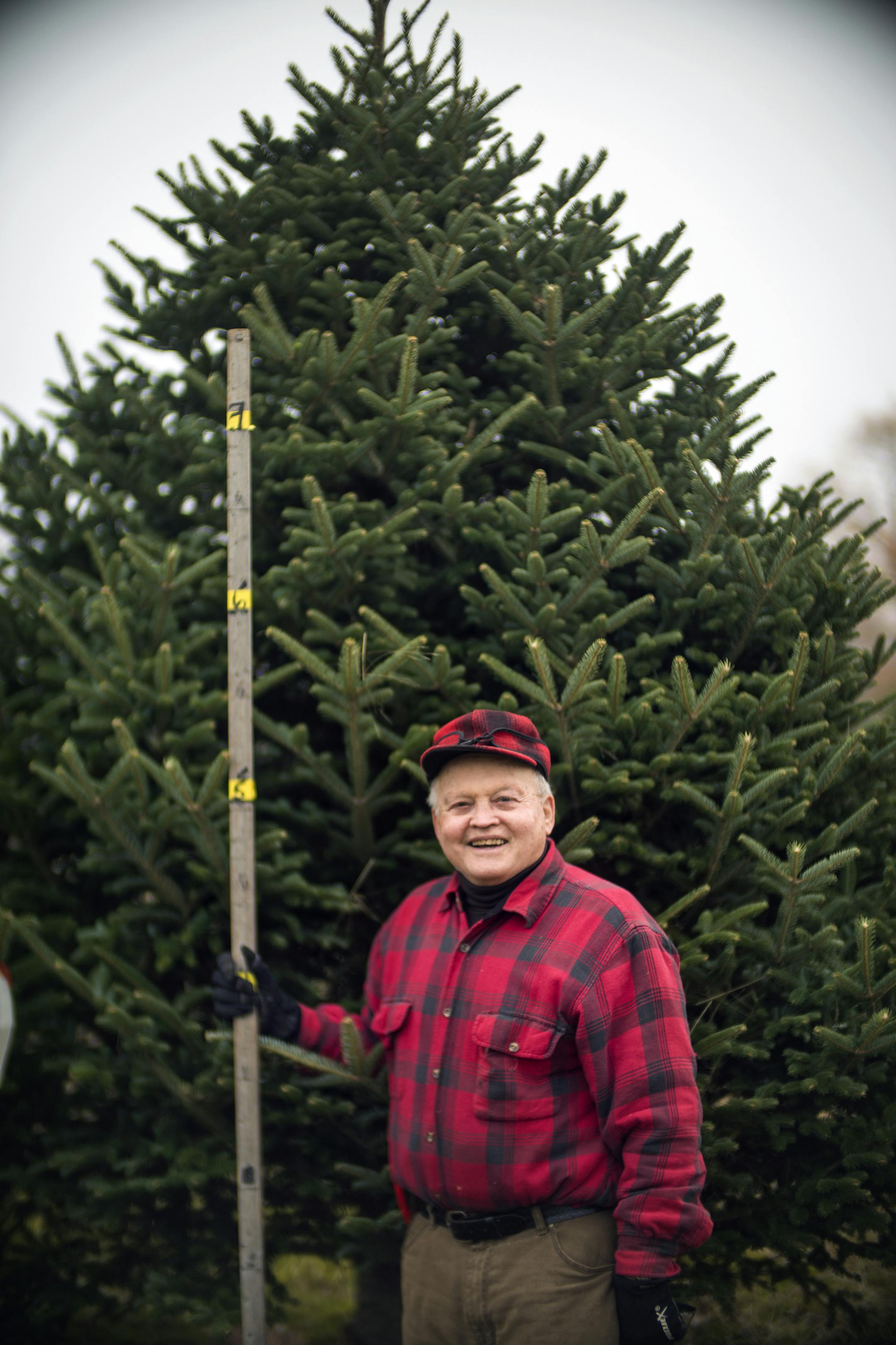 Russ Mansmith retired from Christmas tree farming but soon reopened his Forest Lake business. “It’s in my blood,” he said.