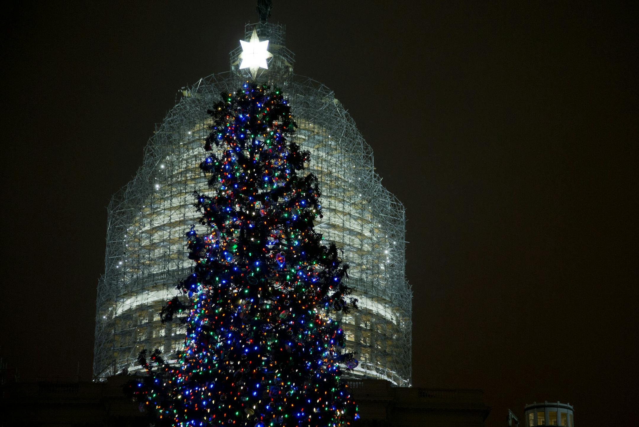 The U.S. Capitol Christmas tree is seen after being lit by House Speaker John Boehner and Make-A-Wish Foundation recipient Aaron Urban, 10, from Linthicum, Md., on the West Front of the Capitol in Washington Tuesday, Dec. 2, 2014. The 2014 U.S. Capitol Christmas Tree is an 88-foot white spruce from the Chippewea National Forest in Cass Lake, Minn. (AP Photo/Manuel Balce Ceneta)