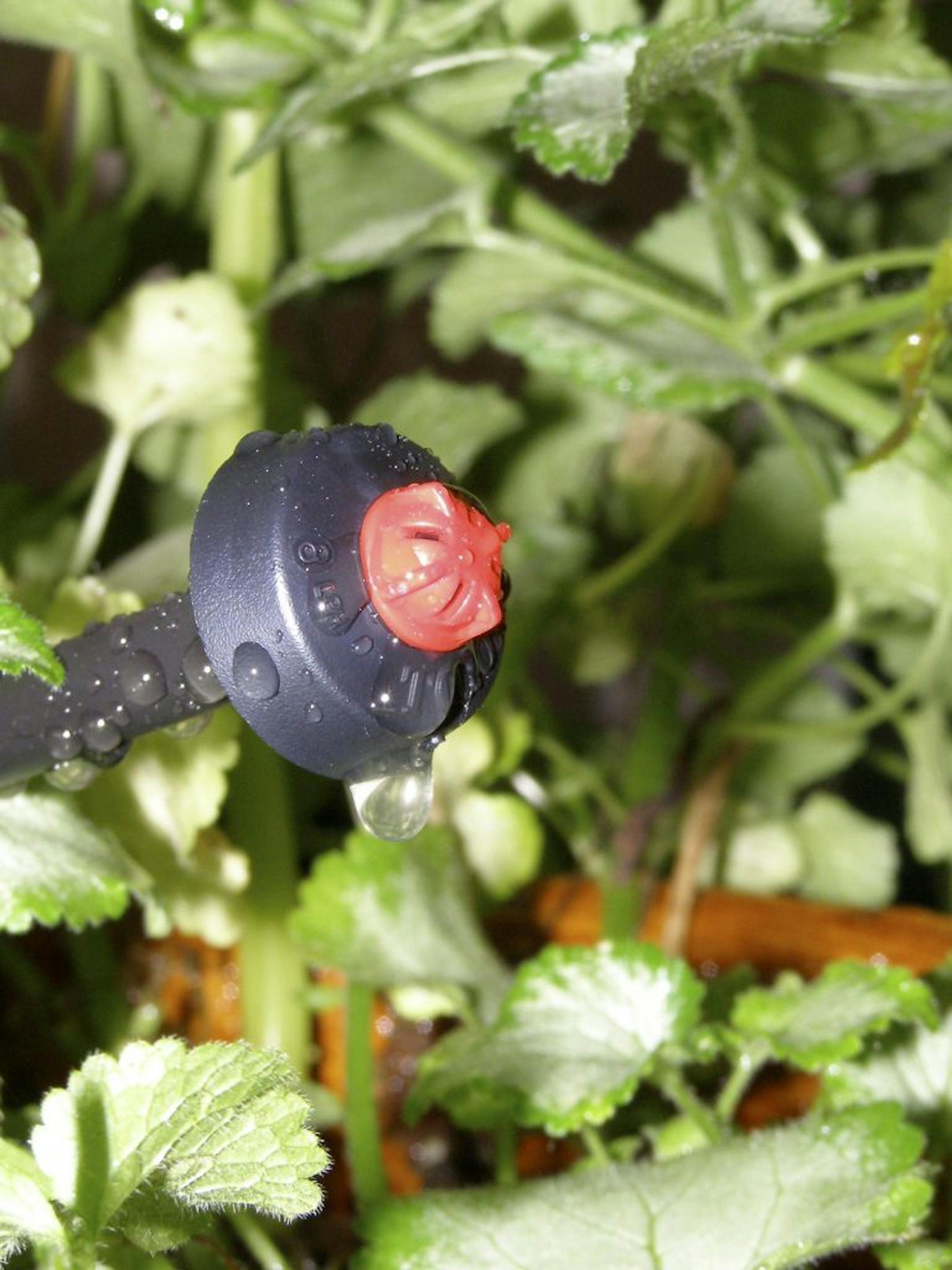 Slow and steady drip systems water your garden thoroughly.