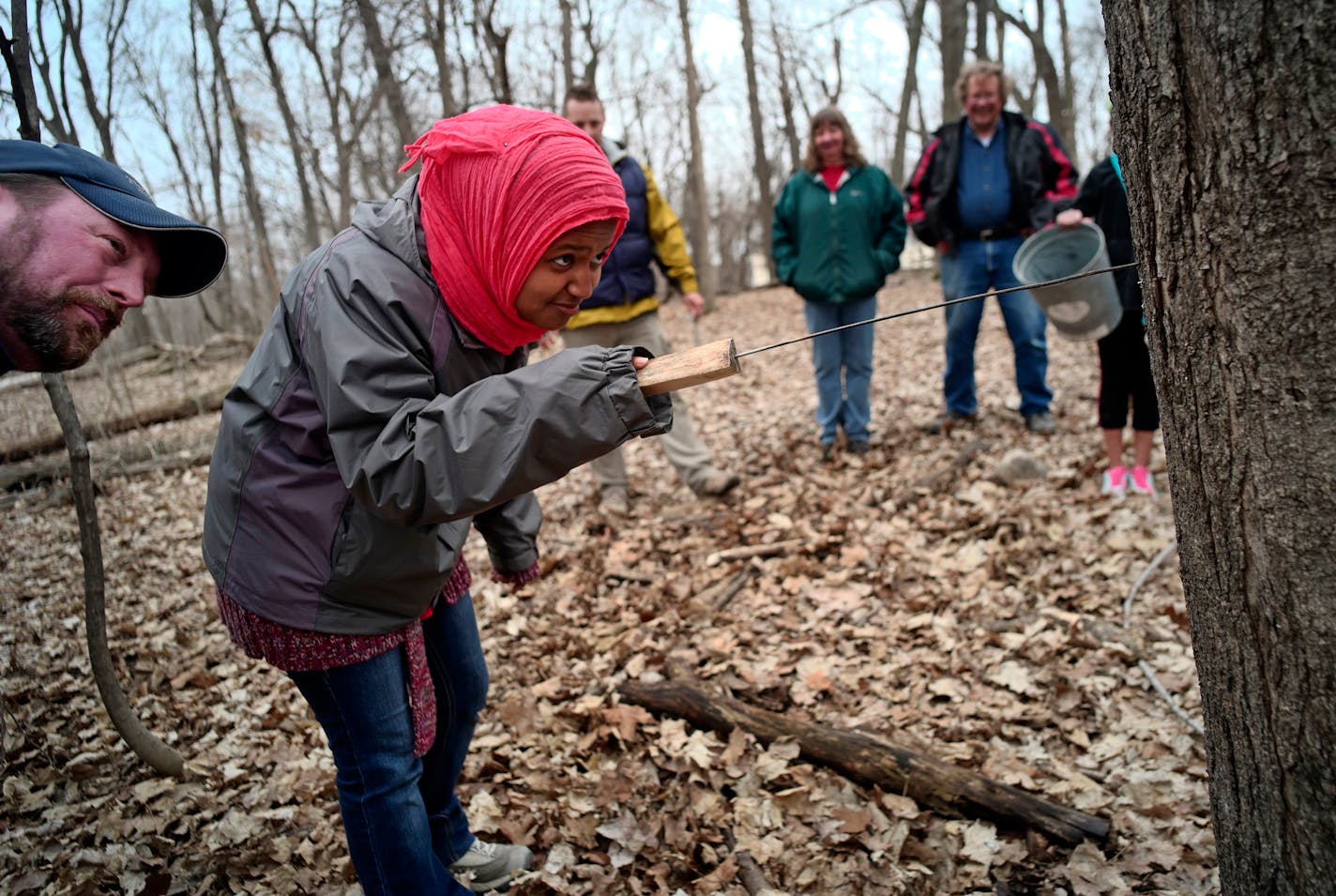 At the Maple Syrup Festival locate at Baker Park Reserve Near-Wilderness Settlement , Kifaya Bishop tried her hand at clearing a tapping hole March 13, 2016, that was just drilled in a sugar maple tree for syrup. Ryan Barth, outdoor education supervisor, looks on.