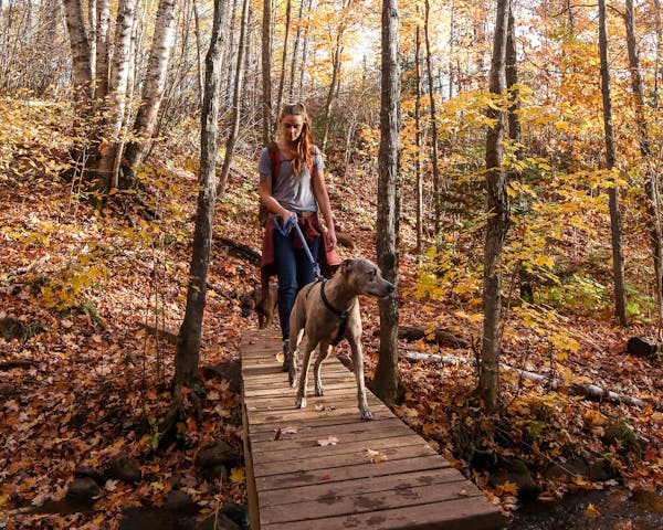 Alyssa Hei of Duluth is a 2018 Groundskeeper for Granite Gear, focused on the Superior Hiking Trail. She is shown on the trail with her dogs Milhouse 