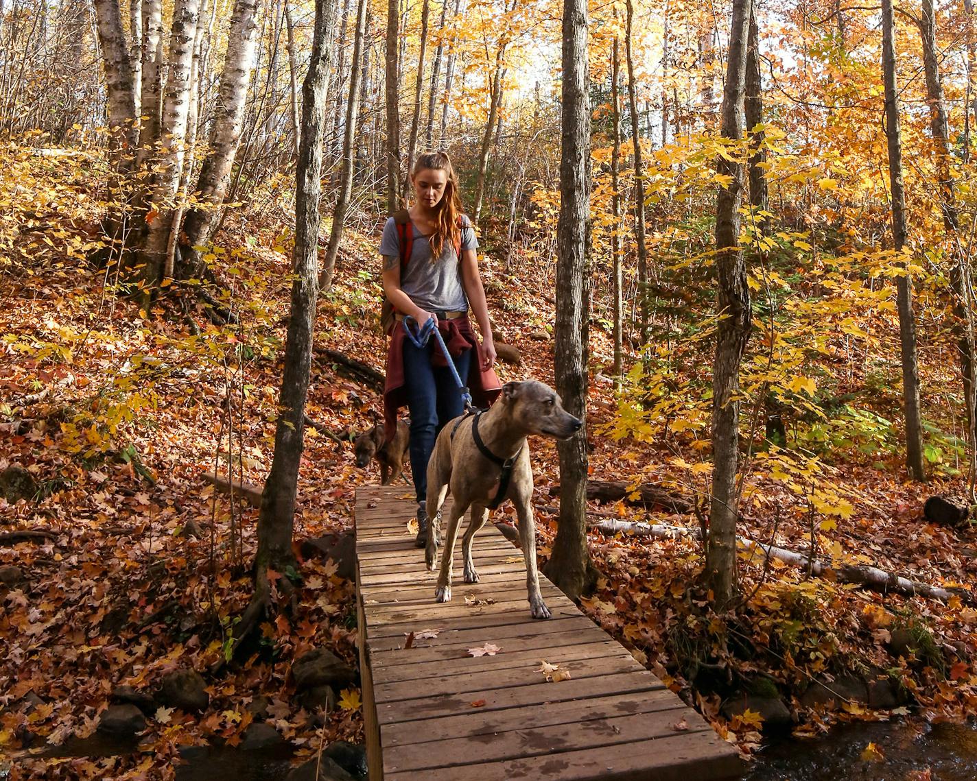 Alyssa Hei of Duluth is a 2018 Groundskeeper for Granite Gear, focused on the Superior Hiking Trail. She is shown on the trail with her dogs Milhouse (in front) and Butters.