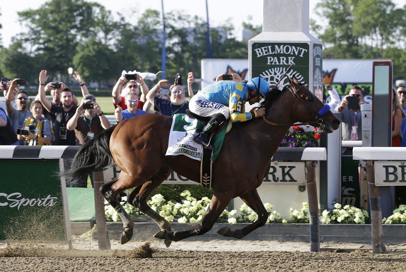 American Pharoah (5) with Victor Espinoza up crosses the finish line to win the 147th running of the Belmont Stakes horse race at Belmont Park, Saturday, June 6, 2015, in Elmont, N.Y.