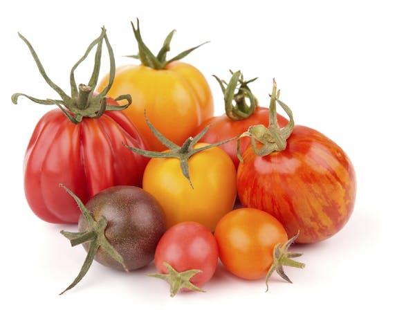 Group of different heirloom tomatoes on white background. From istockphoto.com
