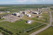 Solugen plans to build a 500,000-square-foot chemical facility next to the ADM corn plant in Marshall, Minn.