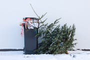 Is wrapping paper recyclable? How to handle holiday debris