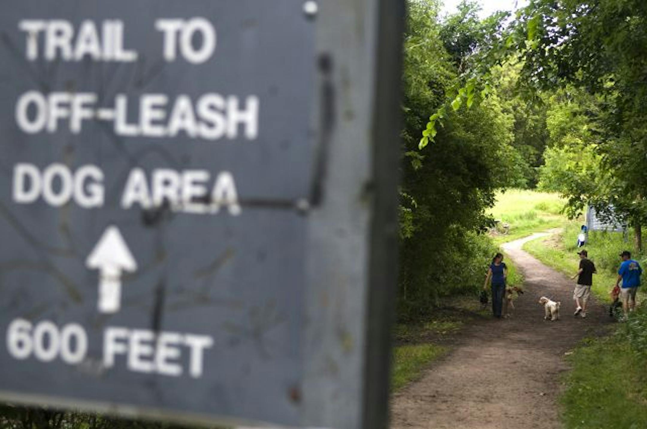 Some users of the Rice Creek Regional Trail have been surprised by unleashed dogs, and a few people have told of being tripped or bitten. Ramsey County says most of the metro-area dog parks are fenced and wants to reduce potential liability.