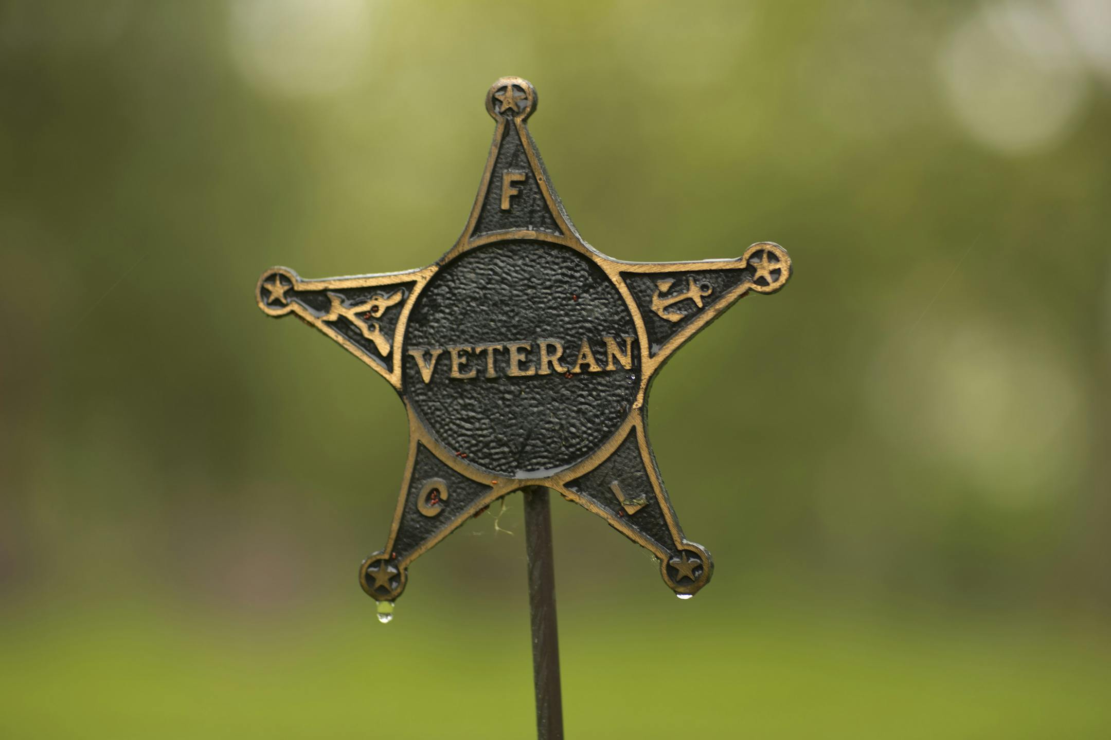 Civil War veteran George Buckman's grave on Wednesday, May 22, 2013 in Woodville Cemetery in Waseca, Minn. ] JEFF WHEELER &#x201a;&#xc4;&#xa2; jeff.wheeler@startribune.com