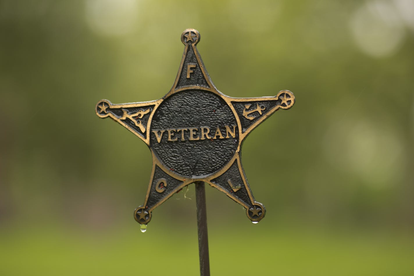 Civil War veteran George Buckman's grave on Wednesday, May 22, 2013 in Woodville Cemetery in Waseca, Minn. ] JEFF WHEELER &#x201a;&#xc4;&#xa2; jeff.wheeler@startribune.com