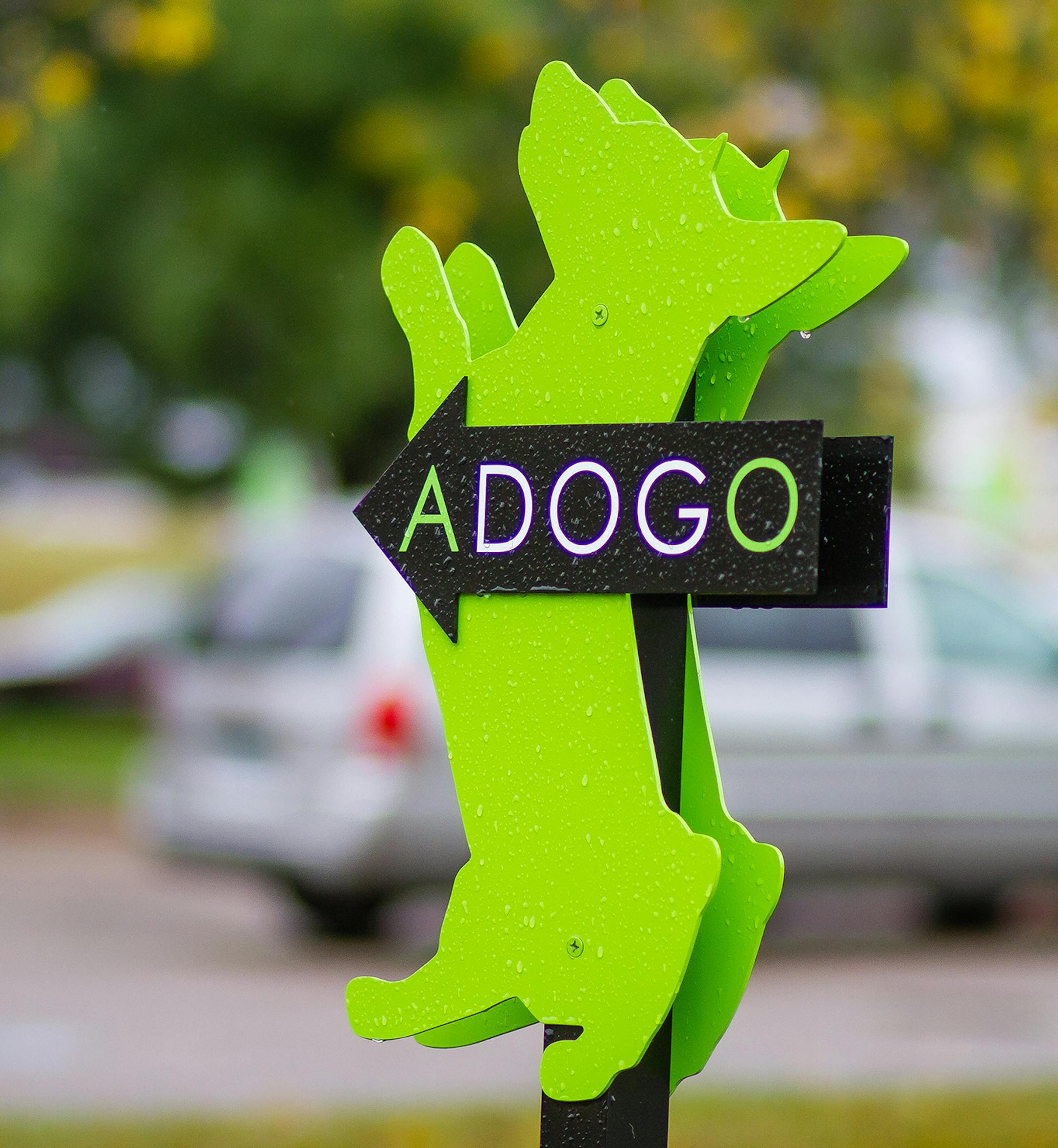 John Sturgess, founder of Adogo Pet Hotels in Minnetonka and Maple Grove, is working to add a third location to his pack of upscale canine boarding and day-care facilities.