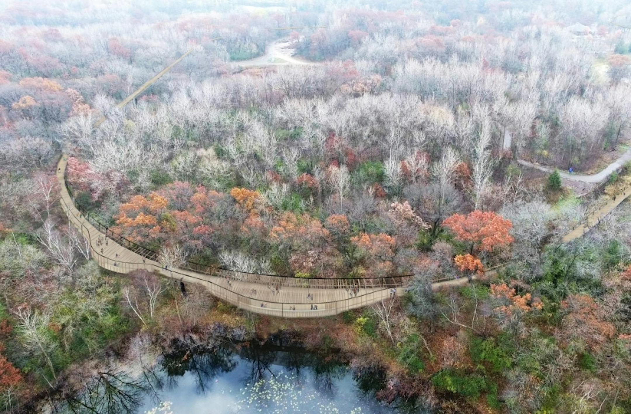 The Minnesota Zoo's new facilities master plan is guiding this year's bonding request and setting the tone for a new round of upgrades. The plan's first and signature project is the Treetop Trail, which makes use of the old monorail structure and will be the longest elevated path of its kind in the country. Rendering provided by Minnesota Zoo.