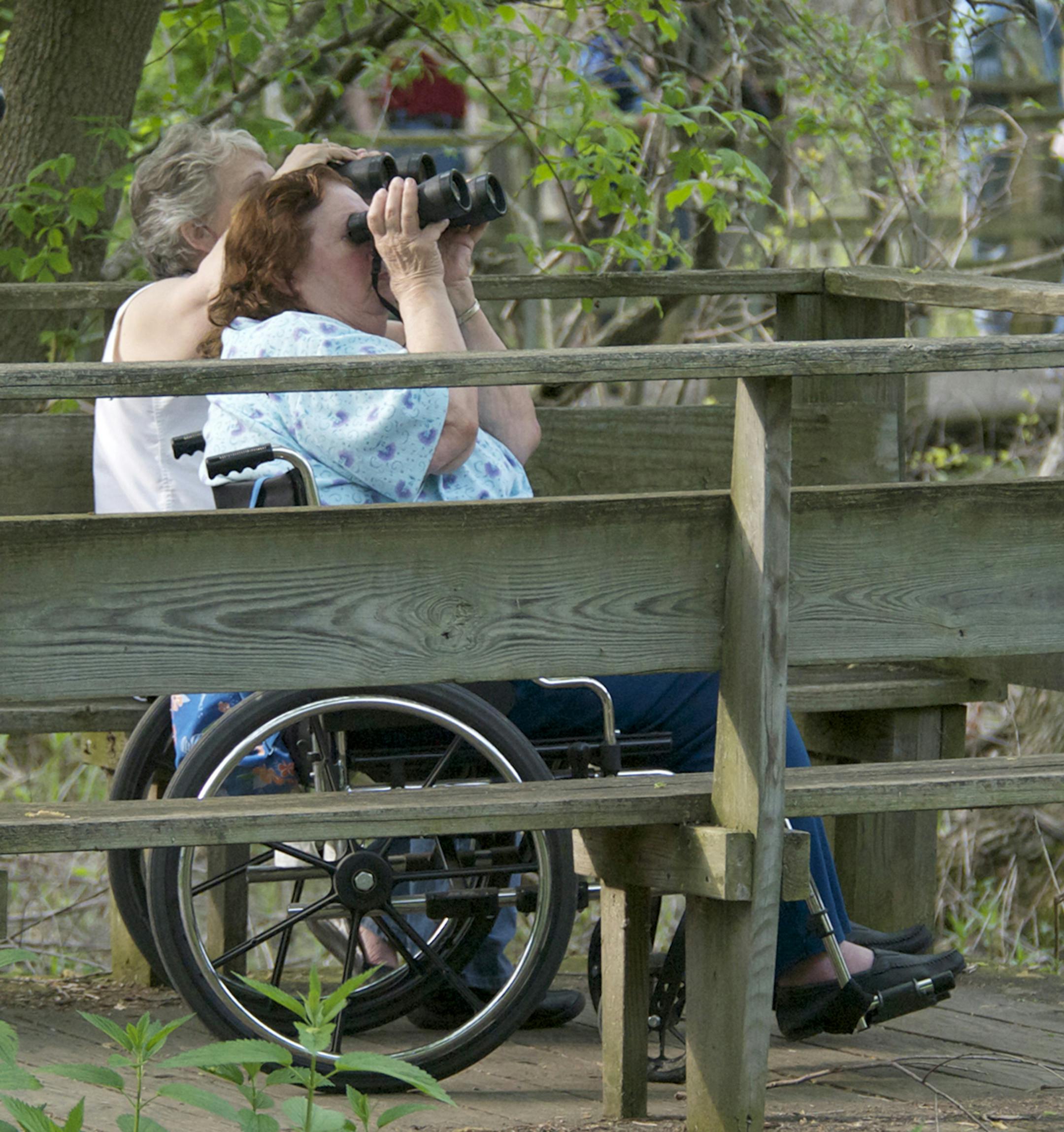 Many organizations and nature centers offer bird walks, so check web sites to find dates and times for this very popular activity. credit: Jim Williams