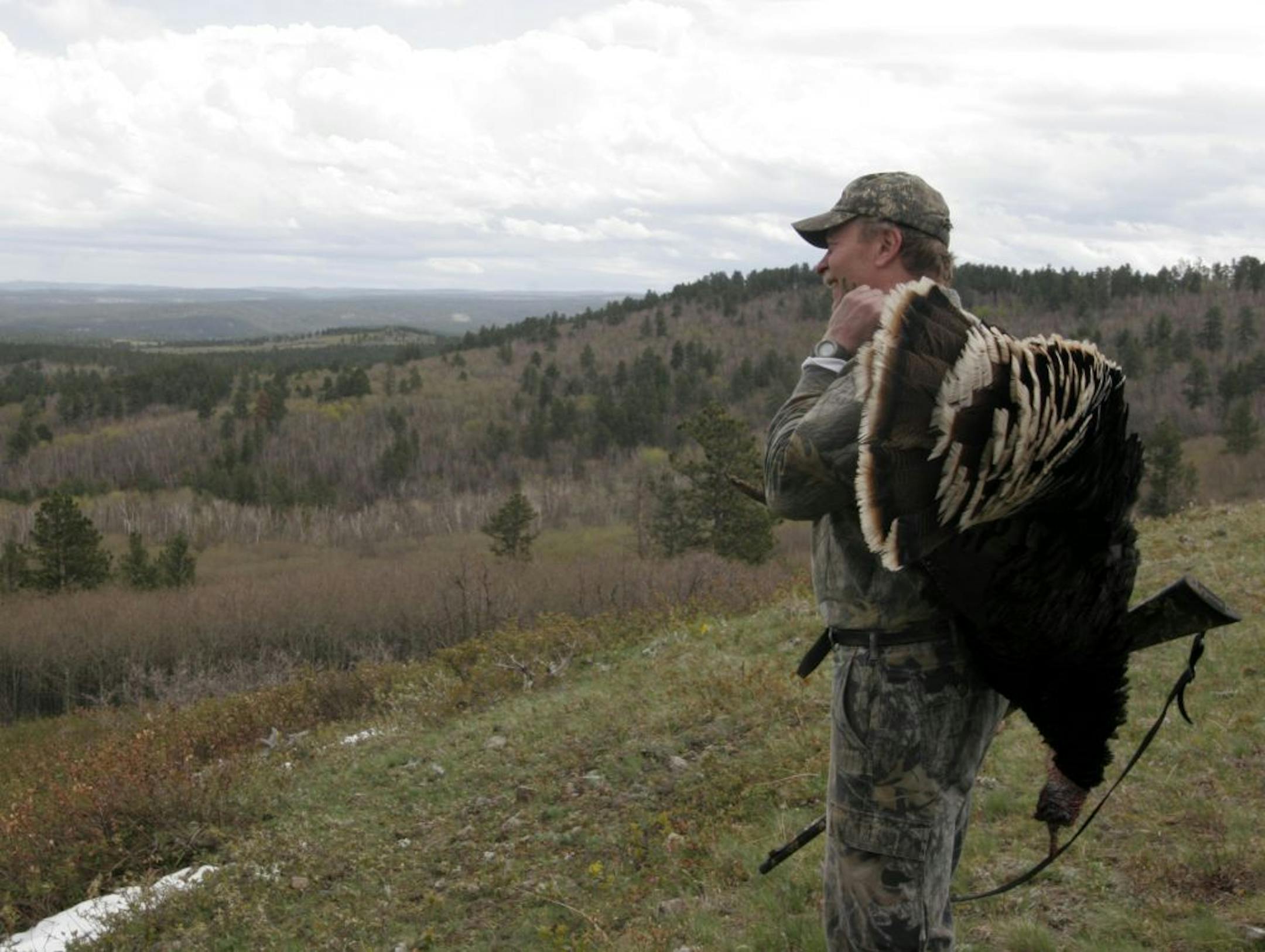 Doug Smith/Star Tribune; May 4, 2012, Black Hills of Wyoming. The Black Hills offers a spectacular backdrop for Ben Hillesheim of Bird Island, Minn., who shot this bird in the Black Hills of Wyoming. During his trip earlier this month, he hunted both South Dakota and Wyoming.