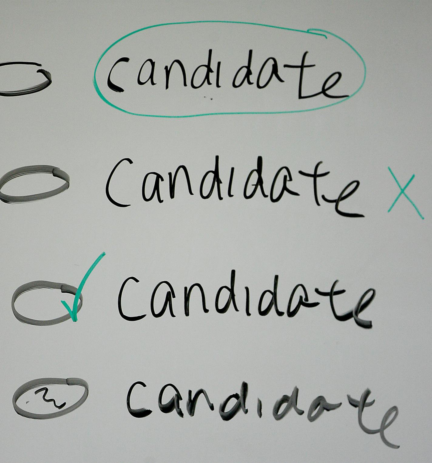 The Election Bureau's Ray Mansky demonstrated for vote auditors some of the different possible ways that ballots could have been filled out and still indicate the voter's intent.