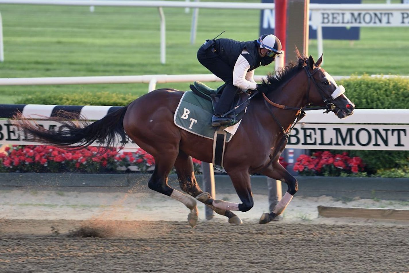 Favorite Tiz The Law trains at Belmont Park