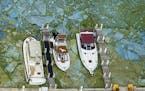 FILE - In this June 29, 2016 file photo, boats docked at Central Marine in Stuart, Fla., are surrounded by blue green algae. The massive algae outbrea