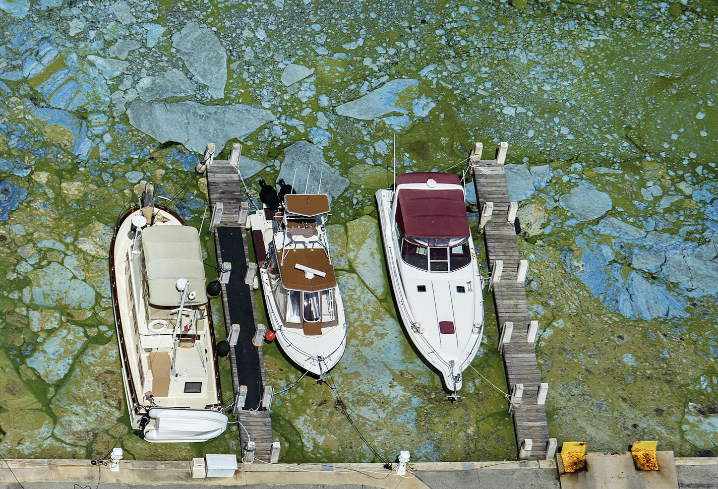 FILE - In this June 29, 2016 file photo, boats docked at Central Marine in Stuart, Fla., are surrounded by blue green algae. The massive algae outbreak that recently caked parts of Florida's St. Lucie River with guacamole-thick sludge is just the latest in an annual parade of such man-made afflictions, which have their roots in political and economic decisions made over the past 140 years. (Greg Lovett/The Palm Beach Post via AP, File)(/Palm Beach Post via AP)