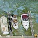 FILE - In this June 29, 2016 file photo, boats docked at Central Marine in Stuart, Fla., are surrounded by blue green algae. The massive algae outbrea