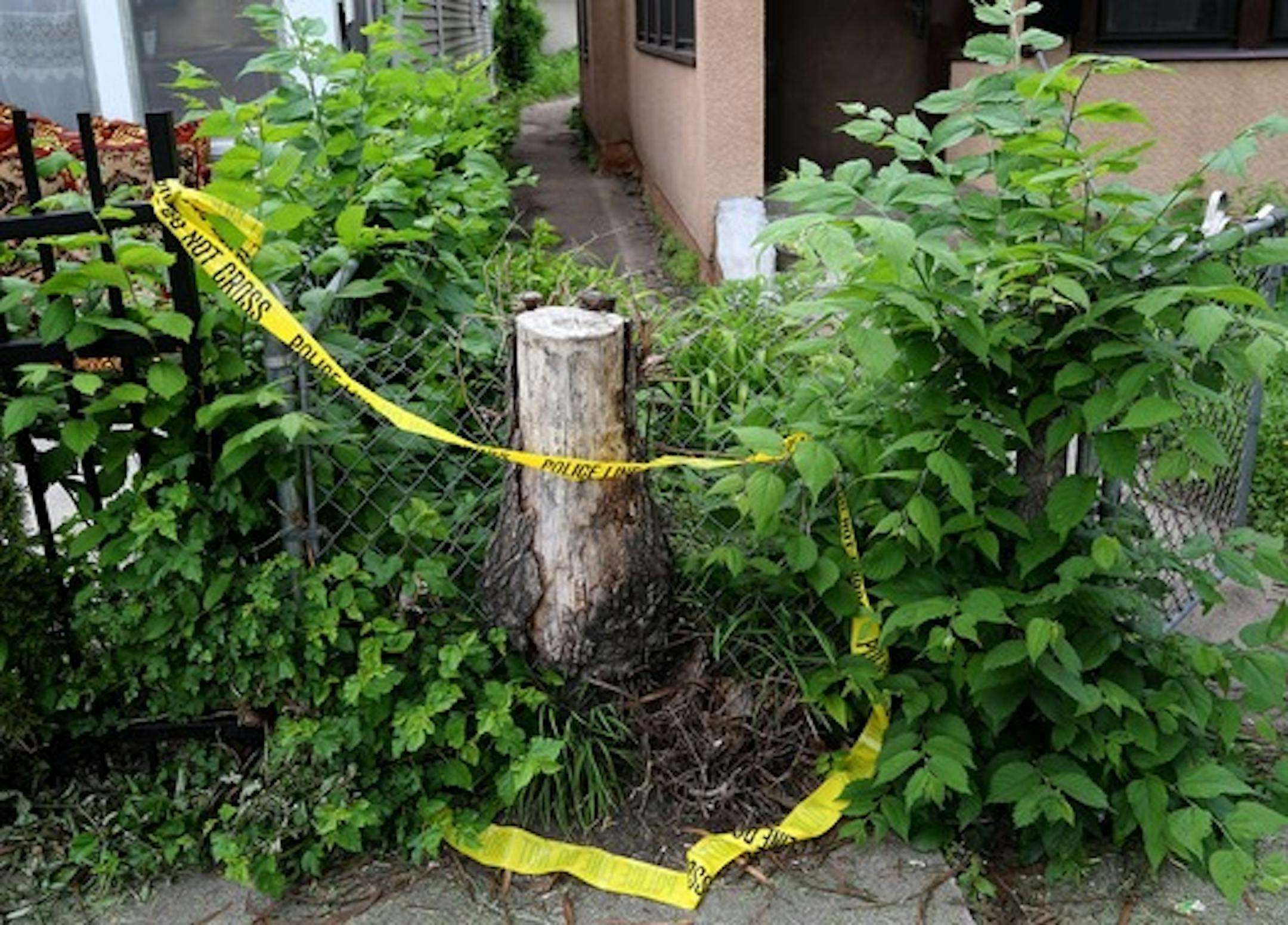 Police tape was left behind near where a 3-year-old boy was run over and killed last week in Minneapolis.