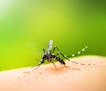 A team of European researchers has unveiled the mechanism that mosquito-borne viruses use to infect the rest of the body, potentially causing greater 
