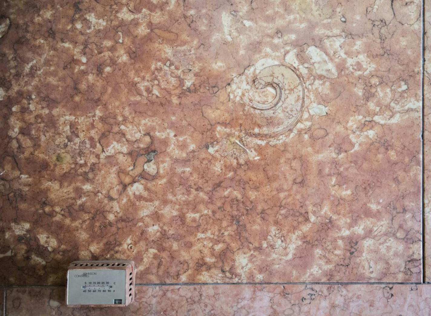 Some fossils can be seen in the marble along the walls in the S 5th St. entrance area.