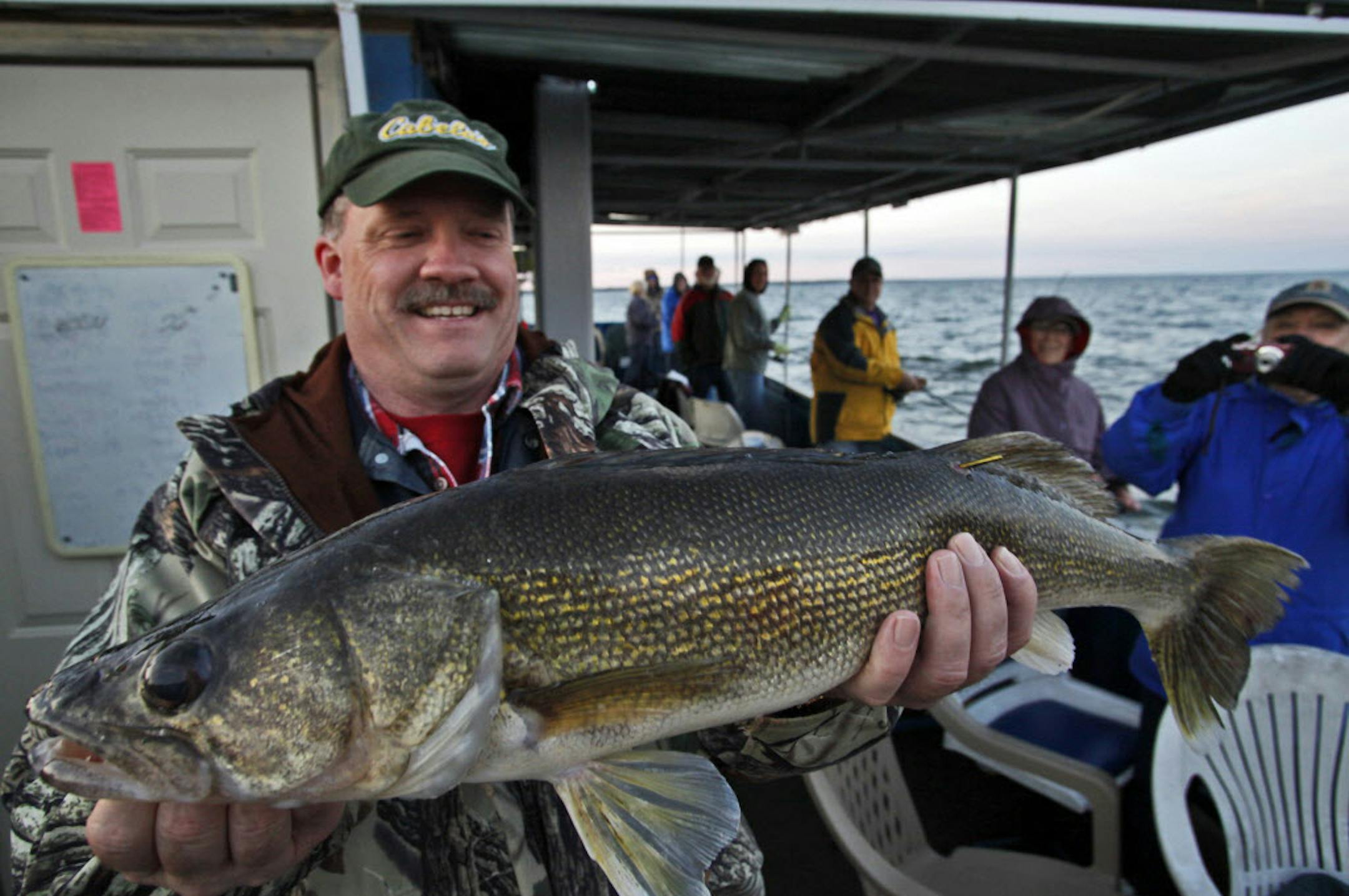 BIG WALLEYES PREYING ON SMALL WALLEYES? DNR biologists now theorize that the numerous large walleyes in Mille Lacs might be among predators feasting on small walleyes, preventing successive year classes of the fish from reaching maturity. ORG XMIT: MIN2014011710554412