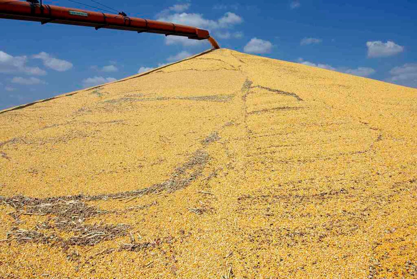 The U.S. Agriculture Department said on Thursday that private exporters sold 1.937 million metric tons of corn to China for delivery in the 2020-2021 marketing year.